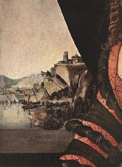 Lucas Cranach Portrait of a woman